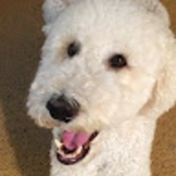 Meet your Posher, W - Picture 1 of 1